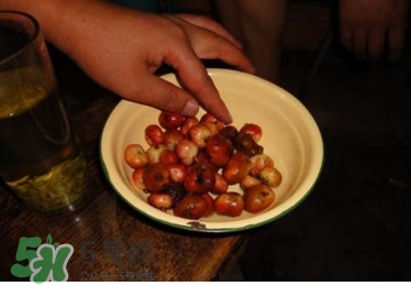 野地瓜滕熬水吃能治療什么?。恳暗毓显趺闯?></p><p>洗干凈后，把上面掐掉直接食用即可，也可以入藥。</p><p>野地瓜，又叫地瓜泡，全株有乳汁，長達10余米，匐地而生，觸地易生須狀不定根，形似巨型蜈蚣，故又稱匐地蜈蚣。因外形像枇杷，在湖北省部分地區(qū)等地稱地枇杷。</p><h3>野地瓜的功效與作用</h3><p>慢性支氣管炎、風(fēng)濕筋骨疼痛、腹瀉、痢疾、乳腺炎、水腫、月經(jīng)不調(diào)、產(chǎn)后血氣痛、便血、流鼻血、瘰疬、接骨、跌打損傷、刀傷、瘋狗咬傷、癰腫、膿皰瘡、毒蛇咬傷。</p><p style=