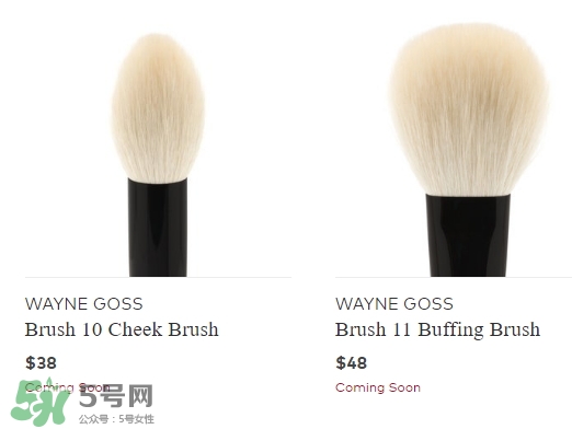 wayne goss是什么牌子？wayne goss化妝刷怎么樣？