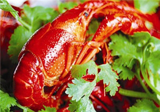 釣小龍蝦用什么餌？釣小龍蝦用什么誘餌最好？