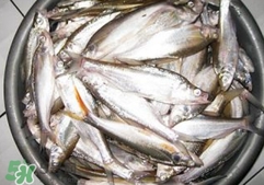 翹殼是什么魚？翹殼魚多少錢一斤2017？