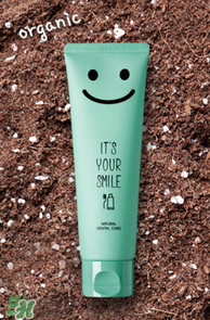 BEBE GANIC兒童孕婦牙膏怎么樣_好用嗎？