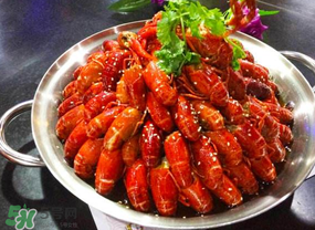 油燜大蝦吃哪些部位？怎么正確吃油燜大蝦？