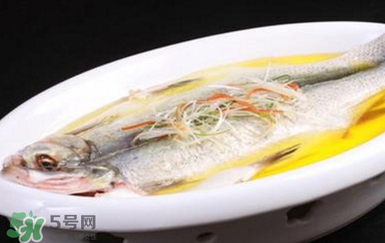 孕婦可以吃白條魚嗎？白條魚孕婦能吃嗎？