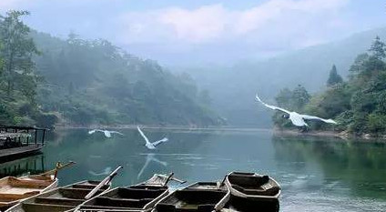 馬口魚能養(yǎng)殖嗎？馬口魚怎么養(yǎng)？