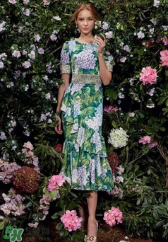 dolce gabanna杜嘉班納2017秋冬繡球花系列怎么樣_好看嗎？