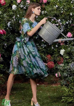 dolce gabanna杜嘉班納2017秋冬繡球花系列怎么樣_好看嗎？