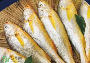 小黃魚長(zhǎng)大后會(huì)不會(huì)變成大黃魚？