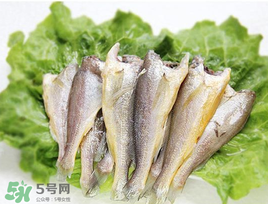 小黃魚可以養(yǎng)殖嗎？小黃魚能人工養(yǎng)殖嗎？
