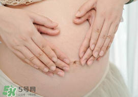 孕婦驅(qū)蚊植物推薦 孕婦能用植物驅(qū)蚊嗎？