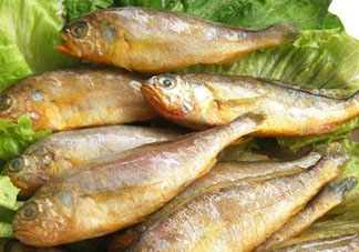 小黃魚多少錢一斤？野生小黃魚多少錢一斤？