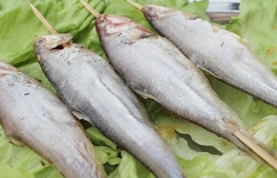 釣馬口魚(yú)用什么餌料？釣馬口魚(yú)用什么打窩？