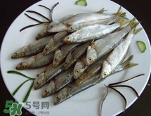 白條魚多少錢一斤2017？野生白條魚多少錢一斤