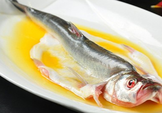 白條魚能長多大？白條魚可以長多大？