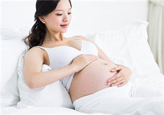 孕婦驅(qū)蚊植物推薦 孕婦能用植物驅(qū)蚊嗎？