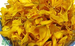 石斛花什么時候采摘？石斛花泡水喝有什么功效