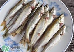 孕婦可以吃白條魚嗎？白條魚孕婦能吃嗎？