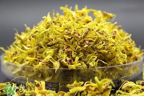 鐵皮石斛開花了怎么辦？鐵皮石斛的花怎么吃