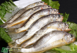 小黃魚不能和什么一起吃？小黃魚和什么相克？