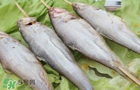 馬口魚怎么釣？馬口魚什么時(shí)候釣最好