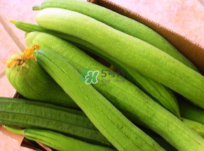 7月份吃什么蔬菜？七月份吃什么蔬菜？