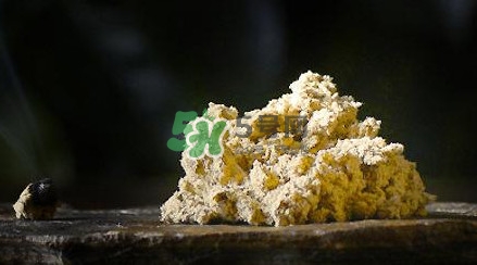 艾絨怎么保存不發(fā)霉？艾絨如何保存不受潮