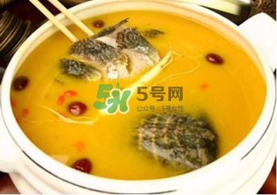 甲魚湯怎么做？甲魚湯的做法