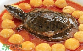 喝甲魚湯有什么好處？甲魚湯的功效與作用