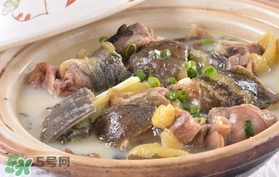 甲魚(yú)湯孕婦能喝嗎？甲魚(yú)湯孕婦可以喝嗎
