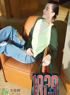 delvaux1829包多少錢？delvaux1829透明手袋專柜價(jià)格