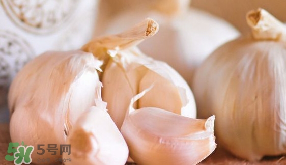 新蒜頭怎么弄成老蒜頭？新蒜頭和老蒜頭的區(qū)別