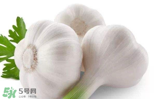 新蒜頭多少錢一斤2017？新蒜頭市場價格