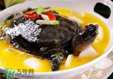 甲魚(yú)湯孕婦能喝嗎？甲魚(yú)湯孕婦可以喝嗎