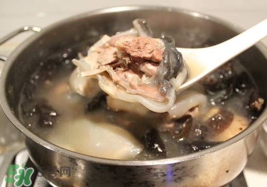 甲魚(yú)湯孕婦能喝嗎？甲魚(yú)湯孕婦可以喝嗎
