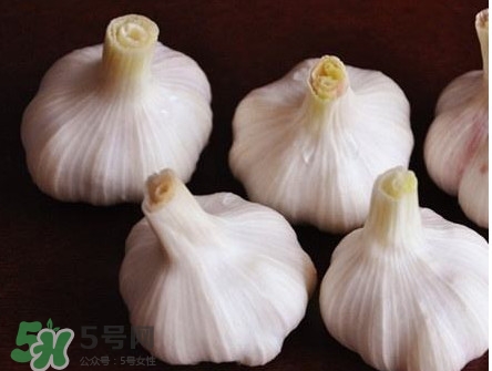 新蒜頭怎么弄成老蒜頭？新蒜頭和老蒜頭的區(qū)別