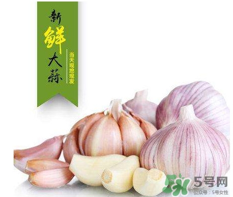 新蒜頭什么時候上市？新蒜頭幾月份上市