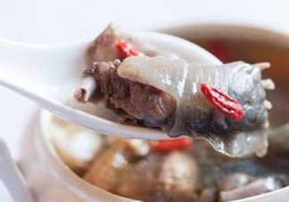 甲魚湯怎么做？甲魚湯的做法