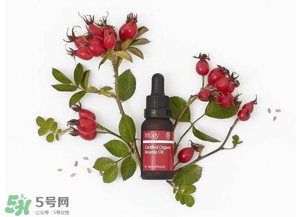 澳洲藥房5大玫瑰果油評測_對比_買哪個好 澳洲藥房5大玫瑰果油評測_對比_買哪個好