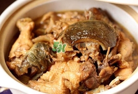 甲魚怎么做好吃？甲魚怎樣做最好吃