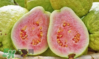 番石榴中間的籽能吃嗎？番石榴里面的籽能吃嗎