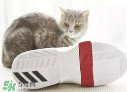 adidas dame3上腳怎么樣？阿迪達(dá)斯利拉德三代測(cè)評(píng)