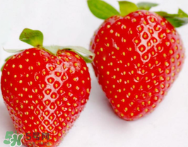 六月份還有草莓嗎？6月份的草莓能吃嗎？