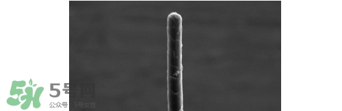 熊野巨匠小熊筆怎么用？熊野巨匠小熊去黑頭筆使用方法