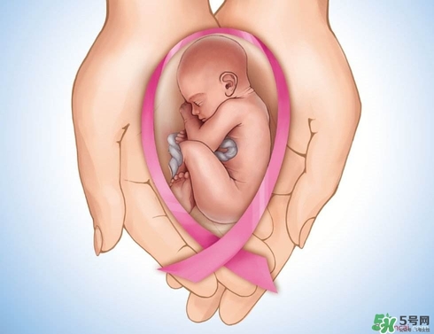 生育保險能報多少錢？生育保險報銷條件、流程