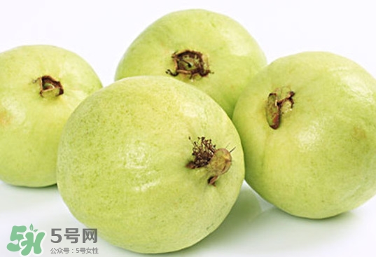 番石榴什么時候成熟？番石榴什么時候上市