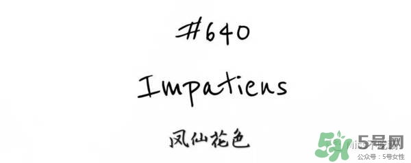 gucci唇膏試色 gucci唇膏色號(hào)