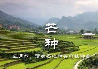 芒種種什么？芒種種什么疏菜？