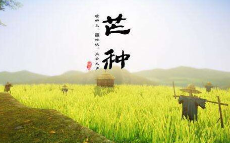 芒種的氣候特點 芒種要注意什么