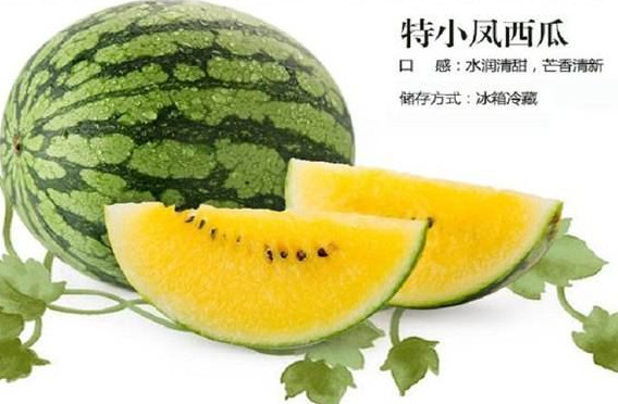 特小鳳西瓜是轉基因嗎？特小鳳西瓜是不是轉基因