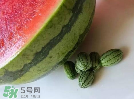 迷你西瓜是轉(zhuǎn)基因水果嗎？迷你西瓜是不是轉(zhuǎn)基因？