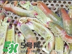 蝦黃孕婦能吃嗎？蝦黃在哪個(gè)位置圖解